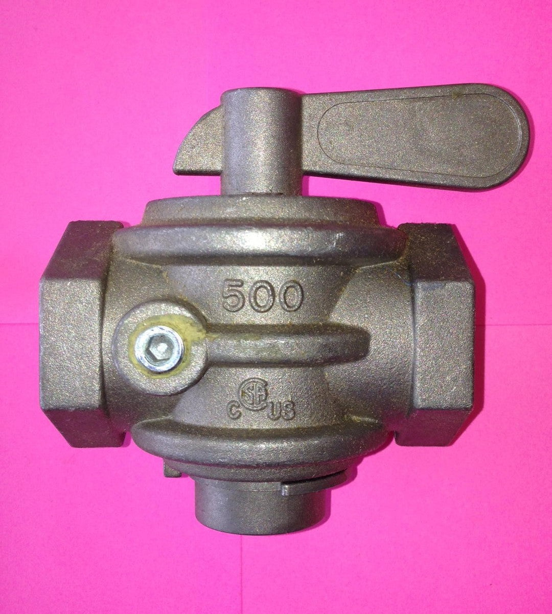 245744499.jpg