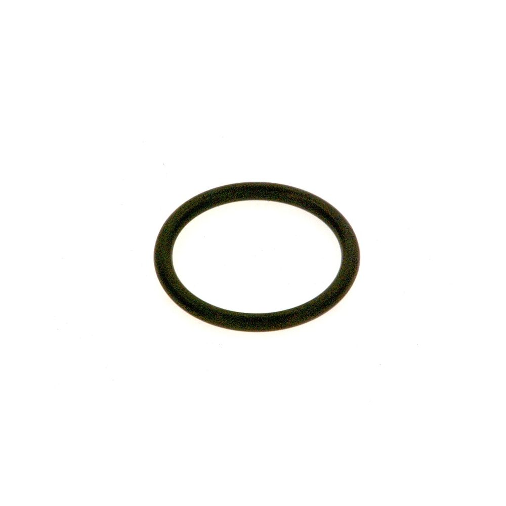 245747029.jpg