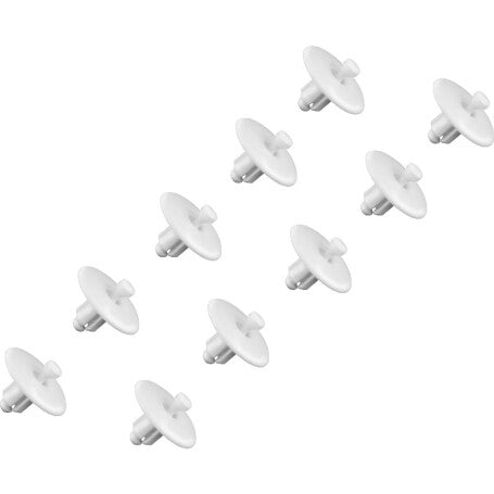 245747464.jpg