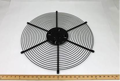 245748534.jpg