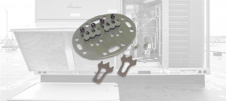 245752268.jpg