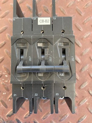 245754066.jpg