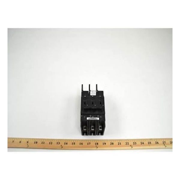 245754097.jpg