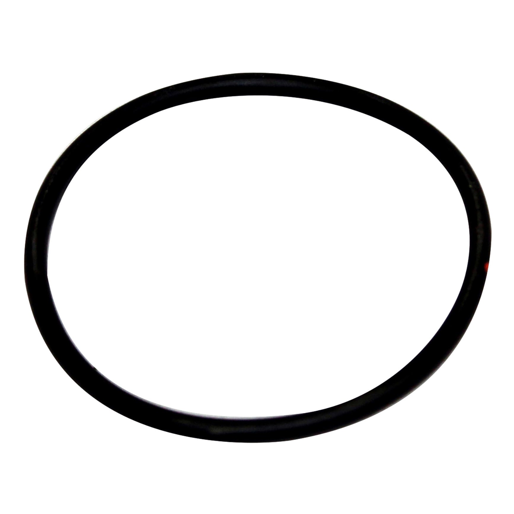 245754683.jpg