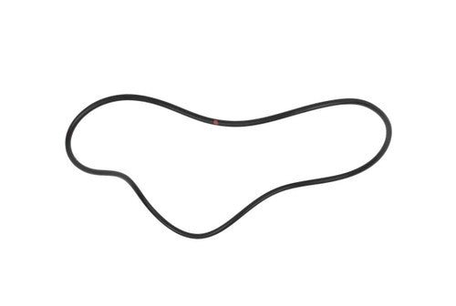 245754805.jpg