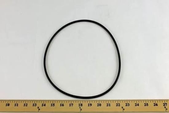 245756622.jpg