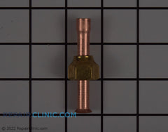 245763363.jpg