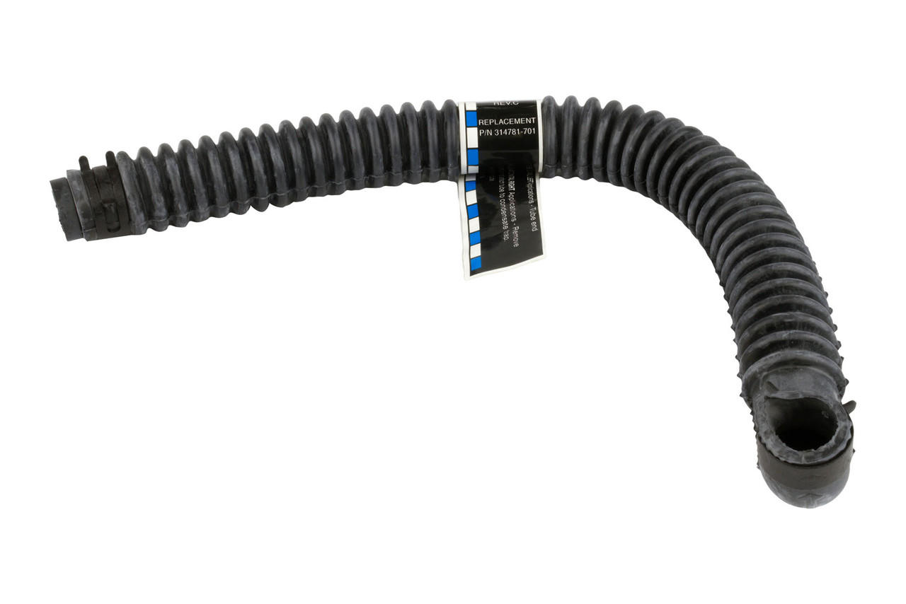 245764905.jpg