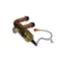 245776212.webp