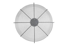 245779435.jpg