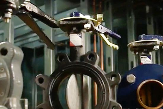 245786903.jpg