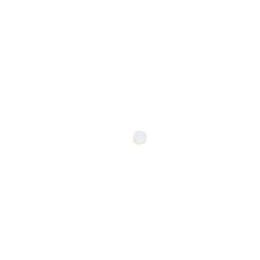245795363.jpg