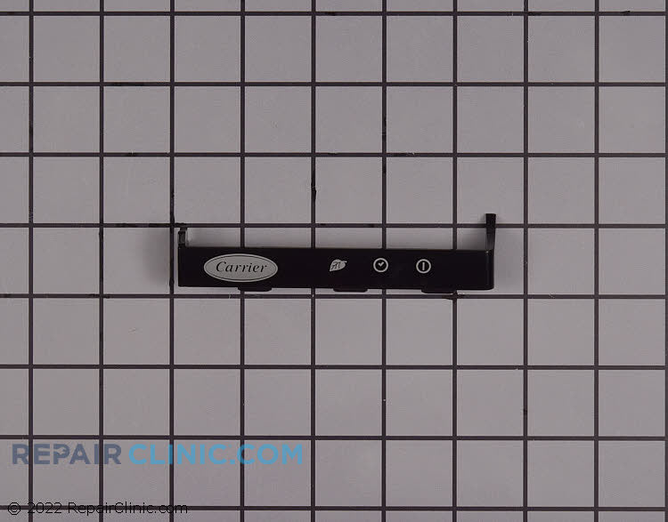 245817318.jpg