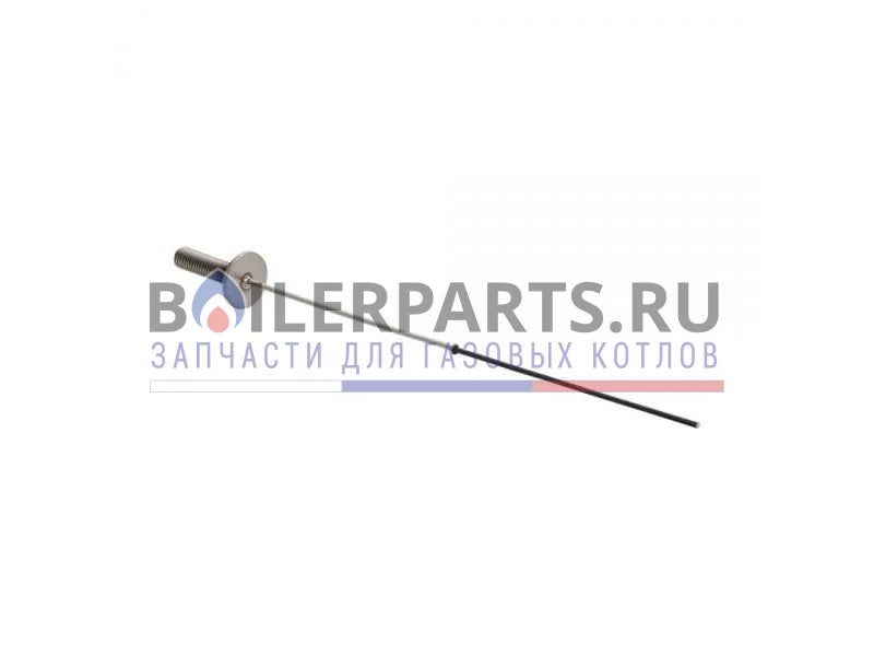 245819407.webp
