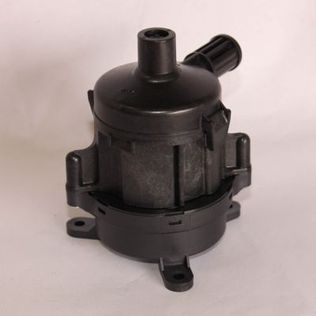 245820524.jpg