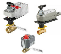 245868968.jpg