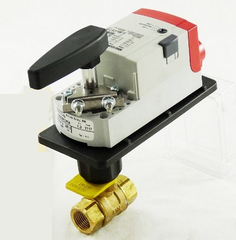 245869416.png
