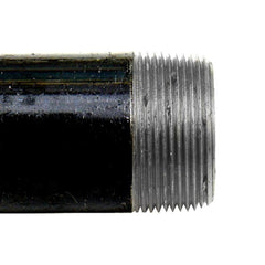 245897517.jpg