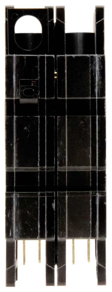 245898165.jpg