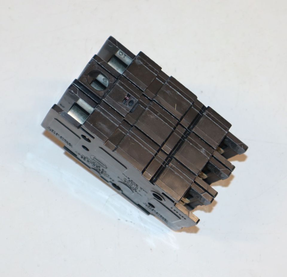 245898397.jpg