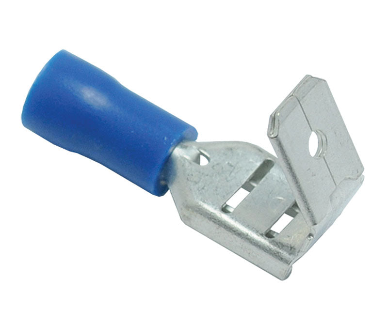 245900542.jpg