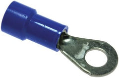 245901054.jpg