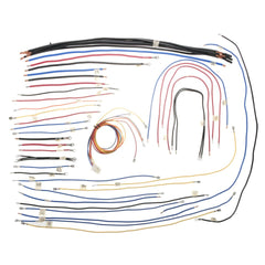245902216.jpg