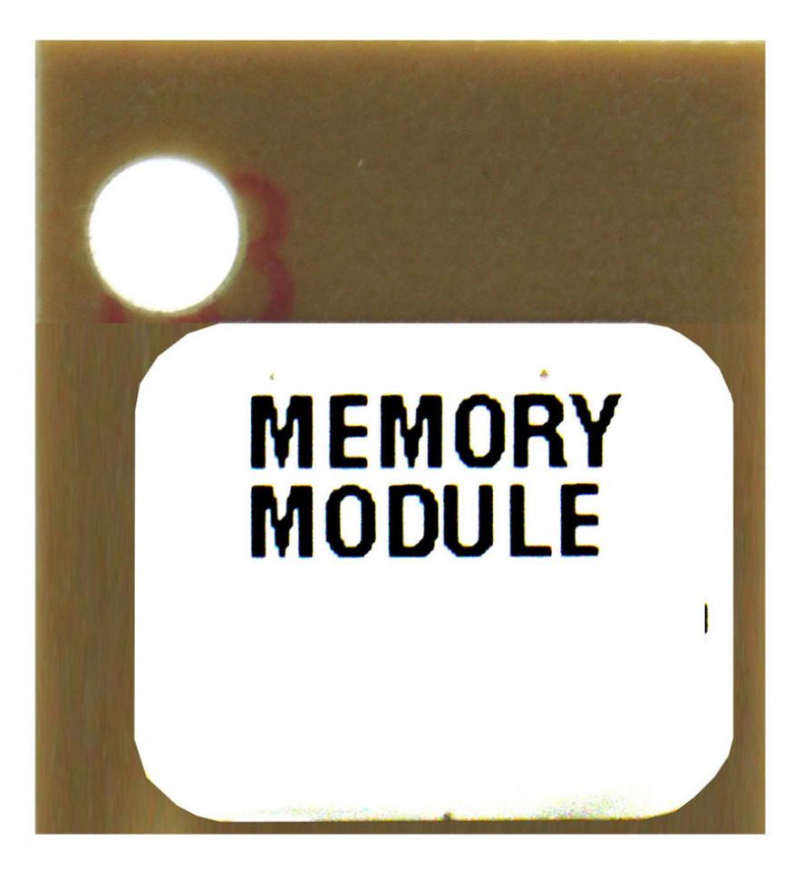 245902907.jpg