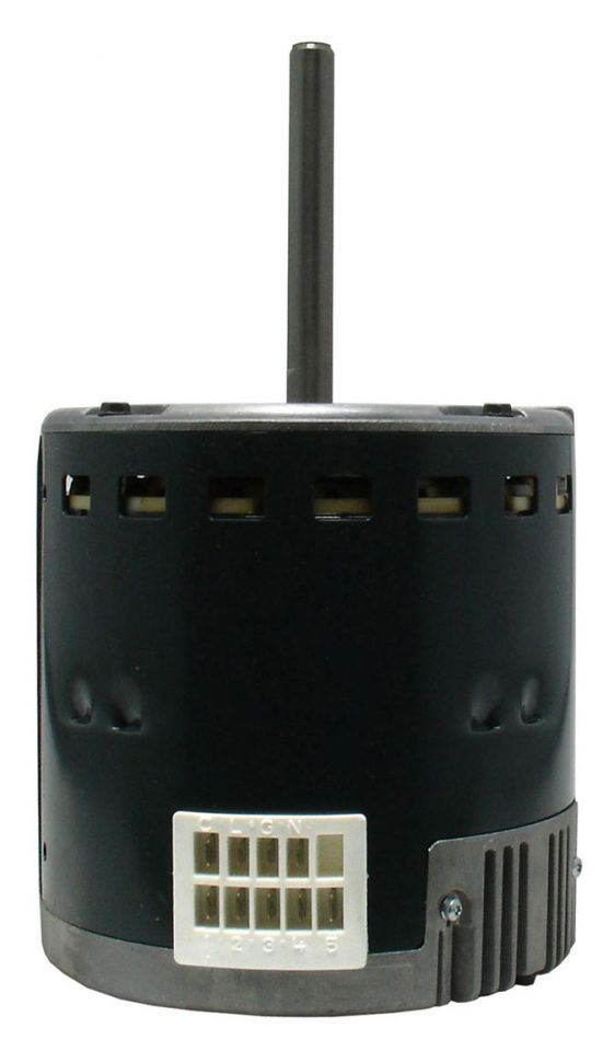 245903379.jpg