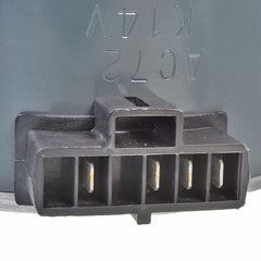 245903434.jpg