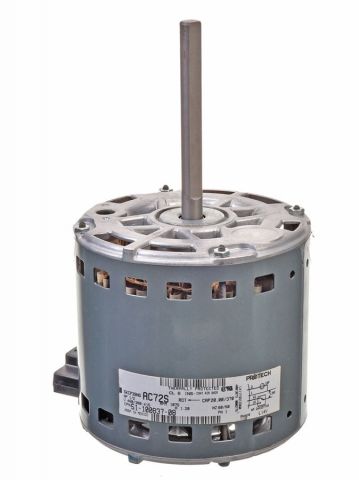 245903435.jpg