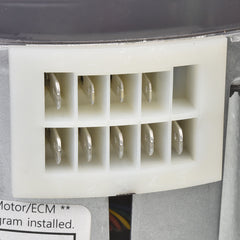 245904335.jpg