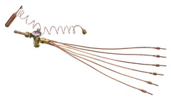245906264.jpg