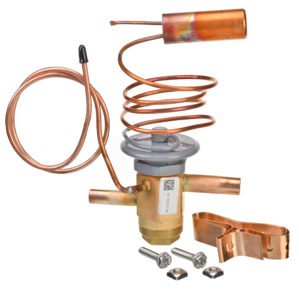 245906682.jpg