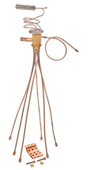 245906745.jpg