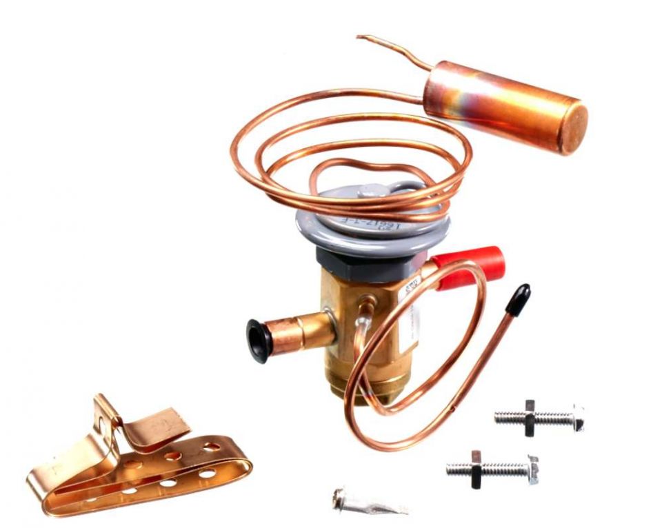 245906794.jpg