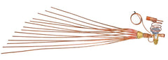 245908557.jpg