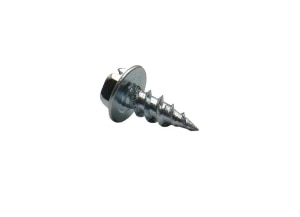 245913491.jpg