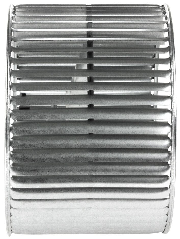 245914163.jpg