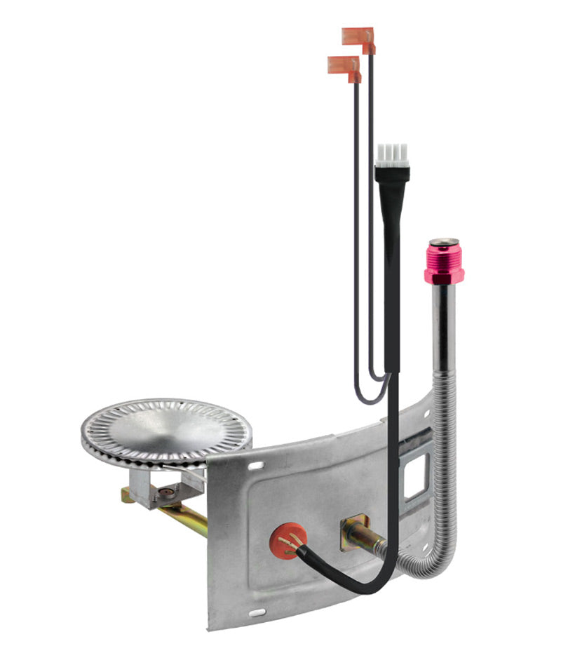 245916959.jpg