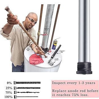 245917344.jpg