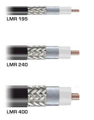 245918614.jpg