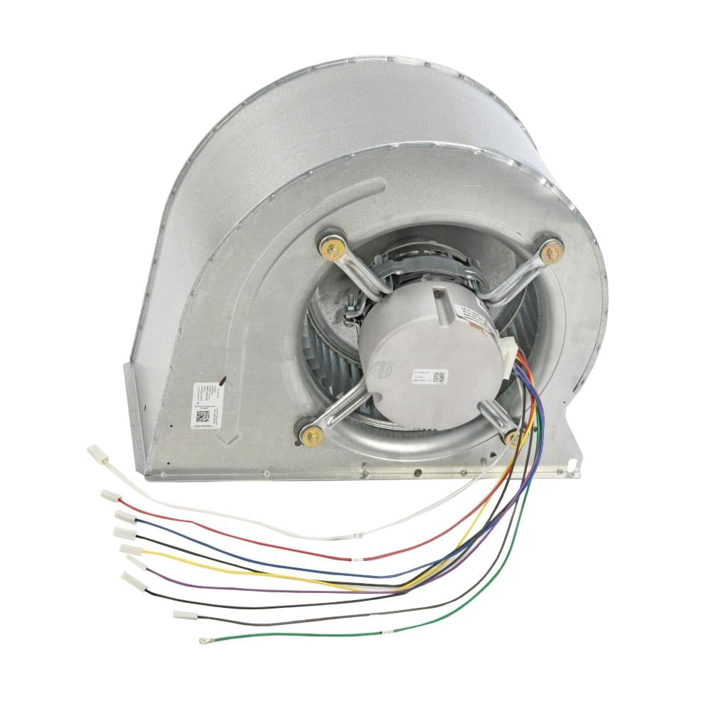 245919439.jpg