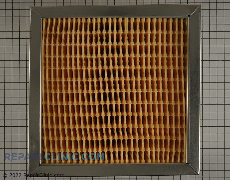 245926184.jpg