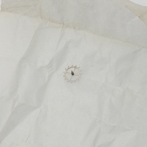 247166800.jpg