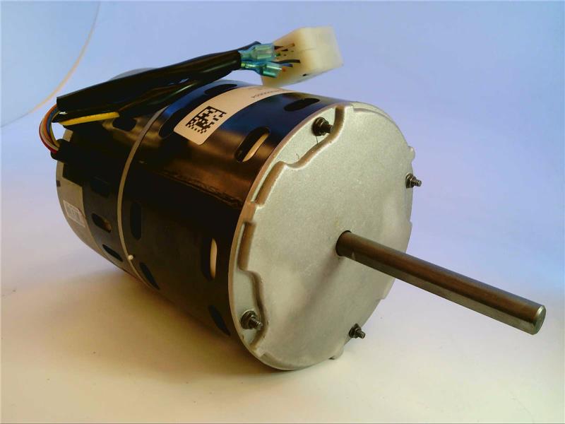 247200404.jpg