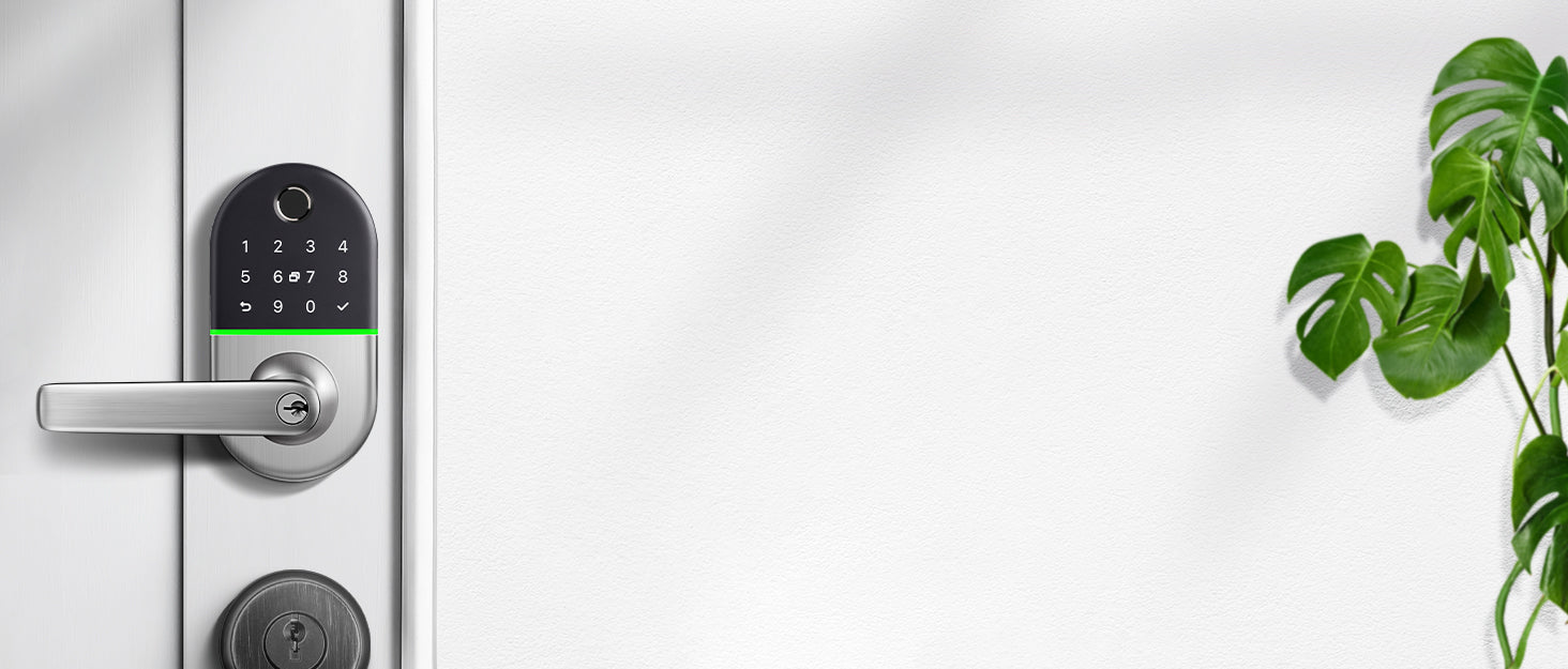247204447.jpg
