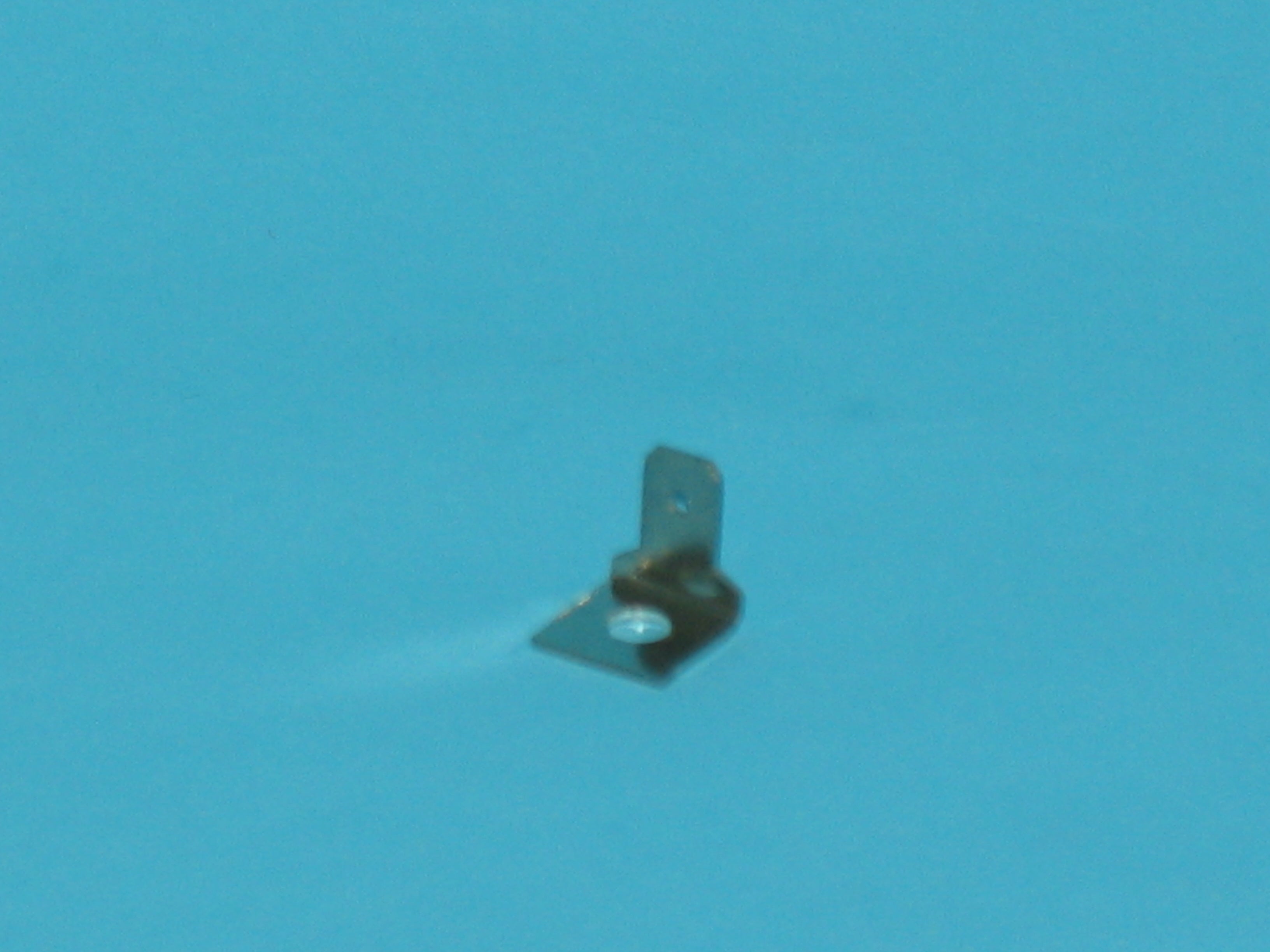 247234960.jpg