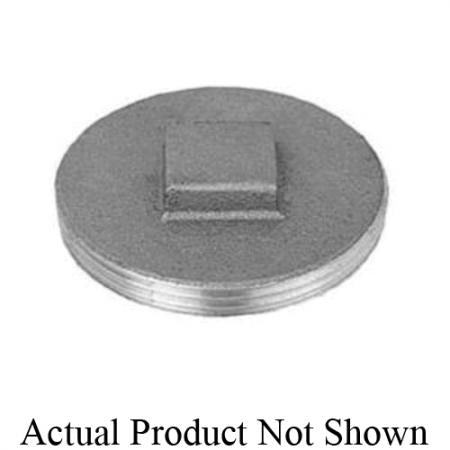 247236842.jpg