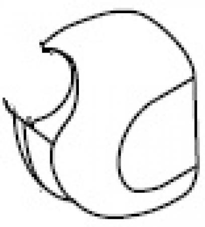 247241286.jpg